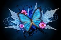 pic for Blue Butterfly 